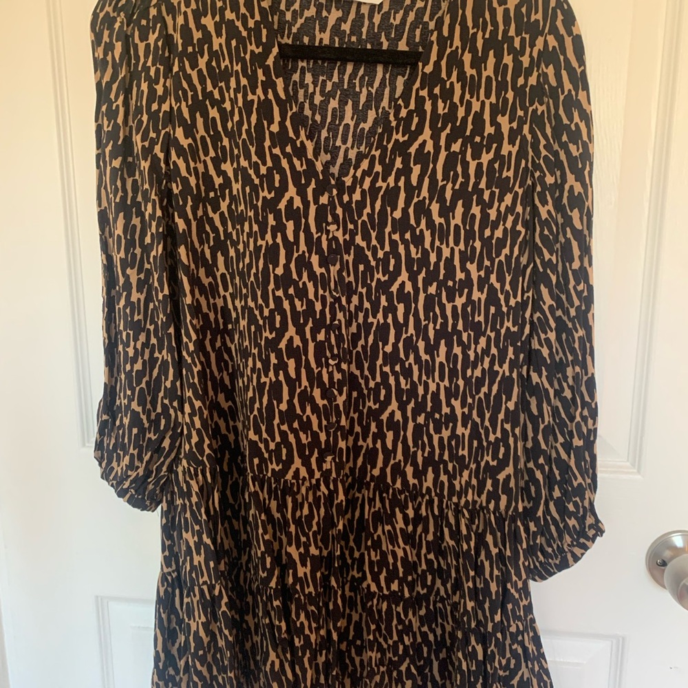 Zara Leopard Print Mini Dress